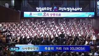 죽음의 거리(Via Dolorosa)