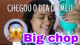 FIZ MEU BIG CHOP COM 6 MESES DE TRANSIÇÃO CAPILAR 🪮💕 2024