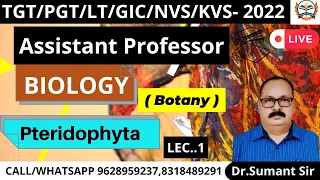 TGT /PGT BIOLOGY 2022/TGT BIOLOGY EXAT DATE /TGT BIOLOGY SYLLABUS 2022preparation,PTERIDOPHYTA