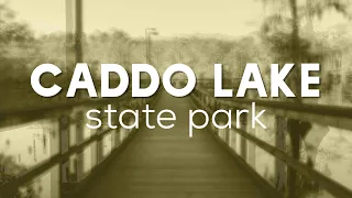 Caddo Lake State Park |Texas State Parks | The Texas Trailhead