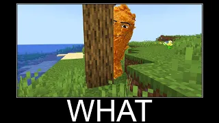 Minecraft WAIT WHAT meme 24/7 Livestream #370