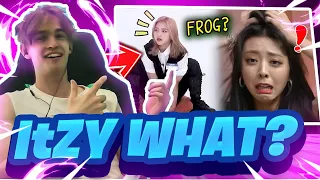 ITZY Forgot That They Are Celebrities Reaction