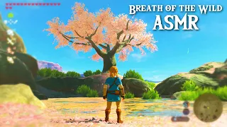 ASMR 🌸 My MOST Relaxing Breath of the Wild Video Ever 🏞️ Close Up Ear to Ear Whispering