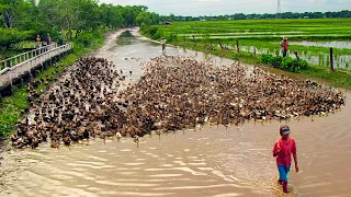 Momentos en la Naturaleza Que Ocurren una Vez Entre Mil Millones