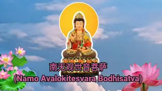 南无观世音菩萨 (Namo Avalokitesvara Bodhisatva)