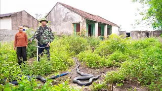 URGENTLY help a single old woman clean up a very dangerous abandoned house