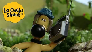 La Oveja Shaun 🐑 ¡Música para perros! 🐑 Dibujos animados para niños