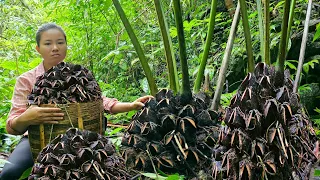 Harvest horseshoe tubers to bring to the market - visit parents | Ma Thi Di