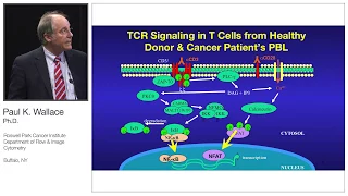 Paul Wallace | AAI | Exosomes Present in Human Ovarian Tumor Microenvironment Rapidly Arrest T Cells