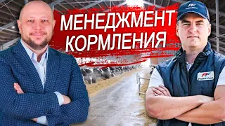 Исполнение и контроль рациона для КРС. Менеджмент кормления коров.