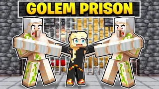 Stuck in An Iron Golem Prison