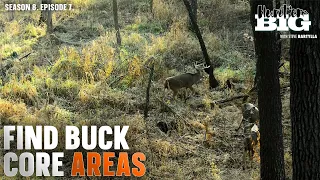 How to Locate Mature Buck Bedding Areas