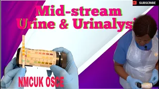 Mid-stream Specimen of Urine (MSU) and urinalysis #nmcuk #osce #urinalysis