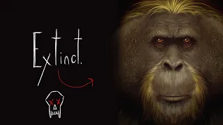 We FINALLY know why the LARGEST APE EVER went extinct