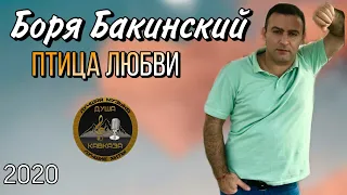 Боря Бакинский - Птица любви - Бомба песня !