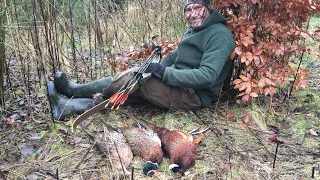 Pheasant hunting from a blind, done turkey style part 1