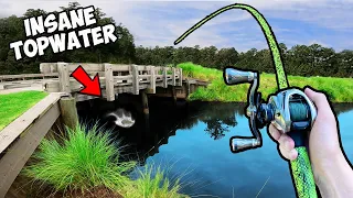 1v1 Crazy Lures ONLY Bass Fishing Tournament (INSANE)