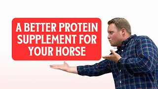 A Better Protein Supplement for Your Horse