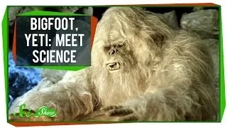 Bigfoot, Yeti: Meet Science