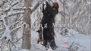 Marten Trap Tutorial: Mastering the Art of Trapping Marten