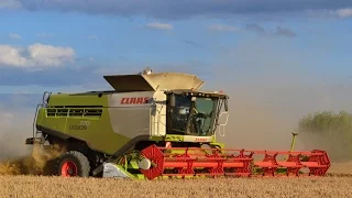 Harvest 2016: Claas Lexion 770 TT