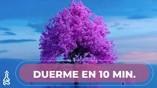 Meditación Guiada para Dormir en 10 minutos