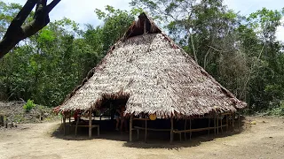 PERÚ Iquitos. Etnia de los Boras