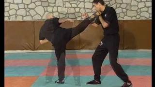 "JEET KUNE DO " = Encyclpedia -with Experts "Bob Breen" - "Eric Laulagnet"