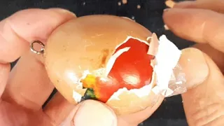 Egg Filled With Resin...