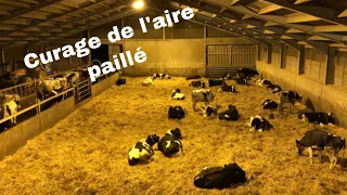 Nettoyage de l'air paillée / vaches laitières