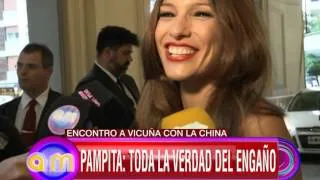 Toda la verdad del escándalo de Pampita y Vicuña - AM