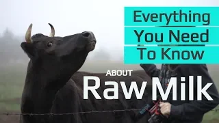 Benefits of Raw Milk  | Why Jersey Cows? | Raw Milk Processing | Where To Get  Unpasteurized Milk