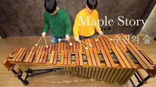 Maple Story BGM Played by students of the Korean National University of Arts (PULSE Cover)