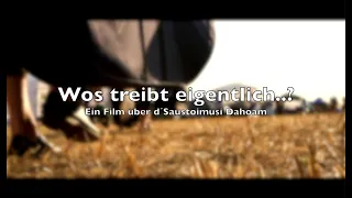 Wos treibt eigentlich? - Ein Film über d´Saustoimusi Dahoam (Teil 1)