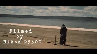 Short film. Woods. One day. Filmed by Nikon D3300