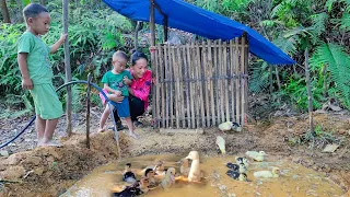 Harvest ginger to bring to the market to sell, dig a pond to raise ducks with 2 sons.