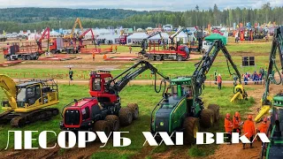 Лесоруб 21-го века 2022 год. Устьянский район. Архангельская область.