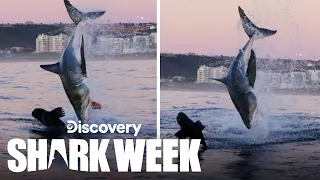 A Rare DOUBLE BREACH! | Shark Week