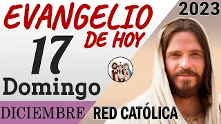 Evangelio de Hoy Domingo 17 de Diciembre de 2023 | REFLEXIÓN | Red Catolica