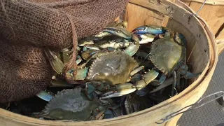 Crabbing Trip 2019