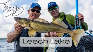 Leech Lake Walleyes | THE BITE (June 2021)