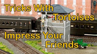 Tricks with Tortoises—Impress Your Friends (180)