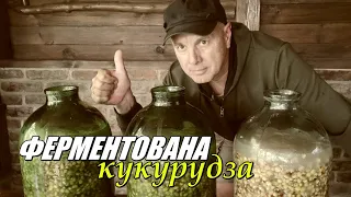 П'ЯНА  КУКУРУДЗА (ферментована) ⚡ Улюблена страва для АМУРА 🐬Fishing Video