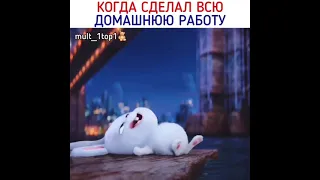 Я красавчик) Кролик.