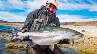 The Largest Rainbows in the World are caught at Jurassic Lake