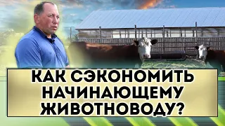 Как сэкономить начинающему животноводу?