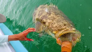 Human VS Giant Mystic Fish Caught Crazy!!