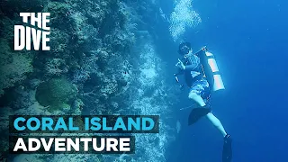 Diving Adventure in Coral Island of Mactan, Cebu | THE DIVE