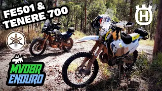 FE501 vs Tenere 700 - Enduro vs Adventure: A Fkn Mint Ride - MVDBR Enduro #243