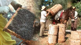 Apicultura tradicional. Cuidado de abejas y confección de colmenas | Oficios Perdidos | Documental